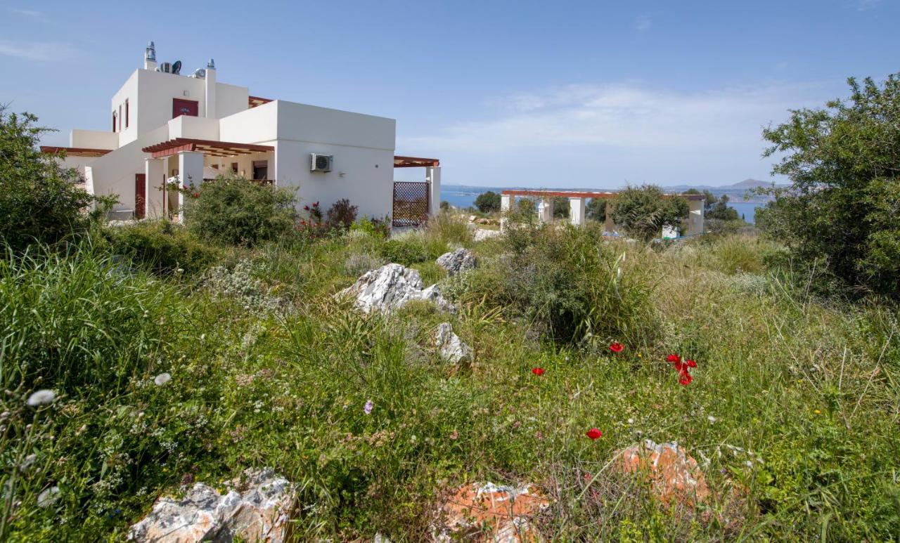 Villa Phenωmena Apartments Kokkino Chorio Exterior foto