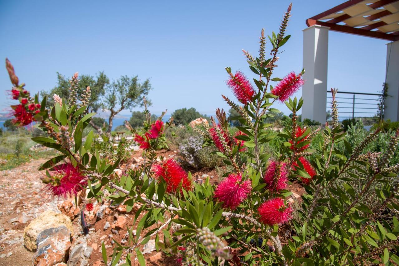 Villa Phenωmena Apartments Kokkino Chorio Exterior foto